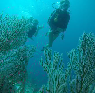 man underwater looking at religious statue in bali