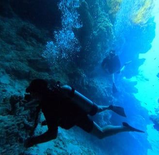 Scuba diver using a GoPro to capture underwater scenes with colorful fish at Lovina Reef, Bali