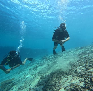 cuba diver exploring the coral-covered USAT Liberty wreck in Tulamben, Bali during early morning dive