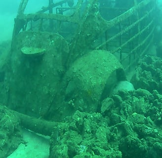 Diver posing beside coral-covered VW Beetle in Lovina Reef underwater museum