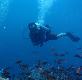 Diver exploring glowing coral at night in Lovina Reef – Sunrise Dive Bali