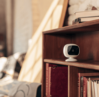 A budget-friendly pet camera placed on a shelf in a cozy home.