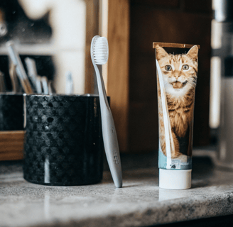 A cat toothbrush and a tube of flavored cat toothpaste on a countertop.