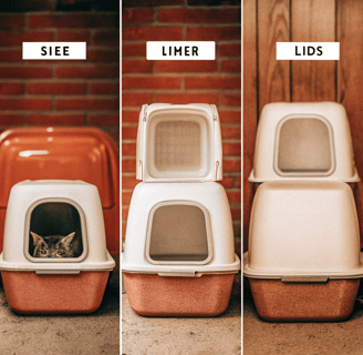 Three types of litter boxes: open, covered, and self-cleaning, displayed side by side.