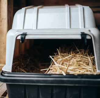 A simple DIY feral cat shelter made from a plastic bin with an insulated interior