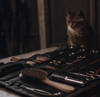 A grooming table with a cat and grooming supplies arranged neatly.