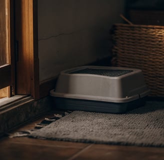 A litter box positioned in a quiet, accessible corner for a blind cat