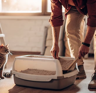 A person removing the waste tray from a smart litter box for cleaning