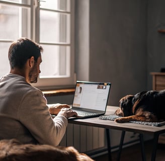 A person researching low-cost vet services online