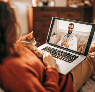 A virtual vet consultation for a cat through a smartphone.