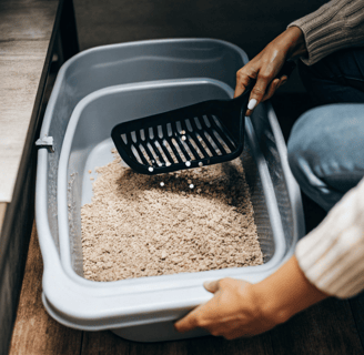 A close-up of a hand scooping clumps from a litter box using a scooper.