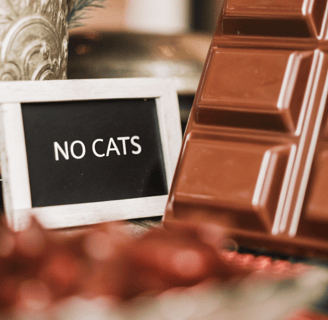 Chocolate is toxic to cats.
