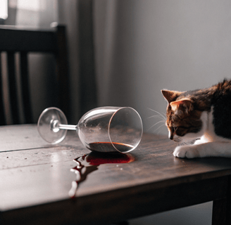 Alcohol is dangerous for cats.