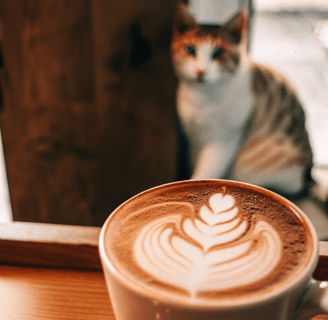 Caffeine is toxic to cats.
