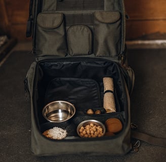A pet travel kit packed with food, water bowls, and a toy.