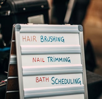 A checklist for regular cat grooming, including eye and ear cleaning.