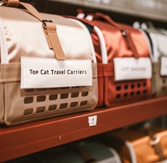 Best Cat Travel Carriers: Top Picks for Safe & Comfortable Journeys