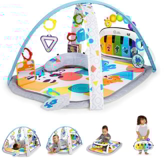 Baby Einstein Gym