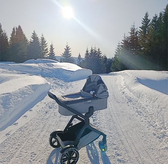 Kudikis vėžimėlyje Norvegijos kalnuose