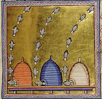 Bees in the Aberdeen Bestiary, f. 63r.