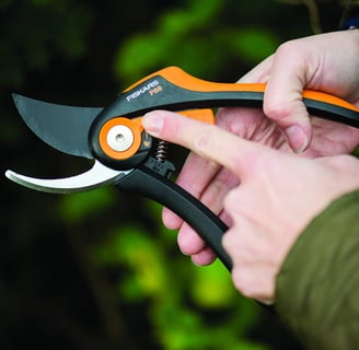 a photo fiskars pruning shears best tool to prune roses
