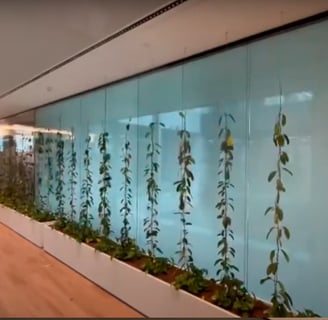 Electrochromic glass. Advantages of converting transparent glass into opaque glass with a simple cli