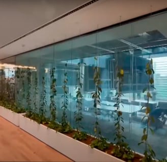 Electrochromic glass. Advantages of converting transparent glass into opaque glass with a simple cli