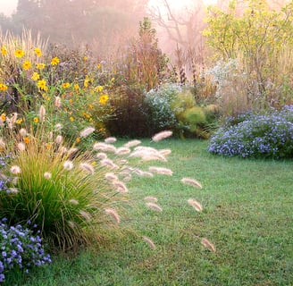 a garden with a lawn and flowers Tuinontwerpen met bloemen en vaste planten