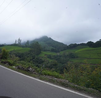 misty mountains in Munnar road side