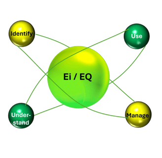 EI Ability Model image