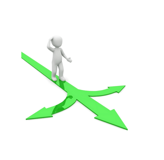 Career Paths image