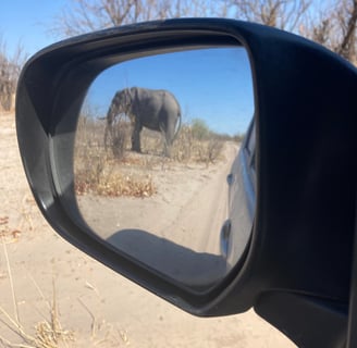 elephant in rearview mirror of camper