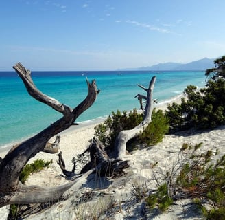 desert des agriates la corse