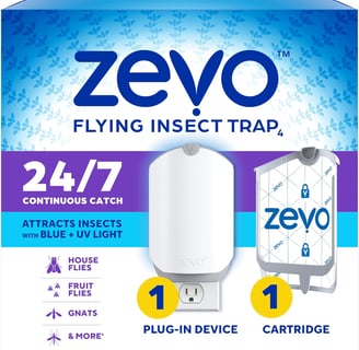 Fly Trap