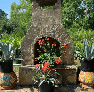 Tropical Gardens Nursery