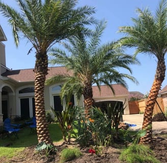 Tropical Gardens Nursery