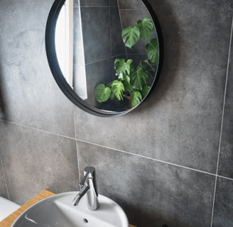 Miroir design, plante verte, carrelage noir pour un esprit design