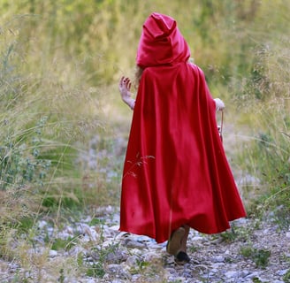 Red cloaked figure walking through meadow Photo by Ersin Aslan