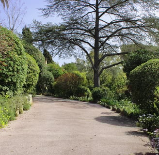 Jardin méditerranéen luxuriant avec l'allée pour accéder à la villa  
