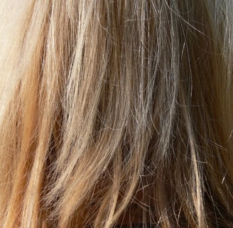 dry hair types