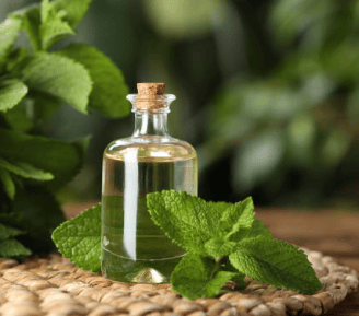 peppermint essential oil