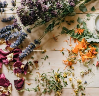 preparing herbal-infused hand salve