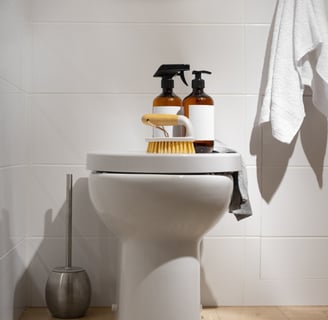 toilet cleaning