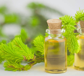 tea tree essential oil