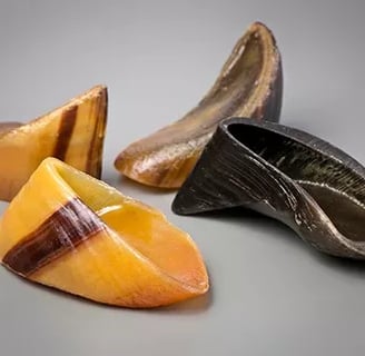 cascos bovinos
