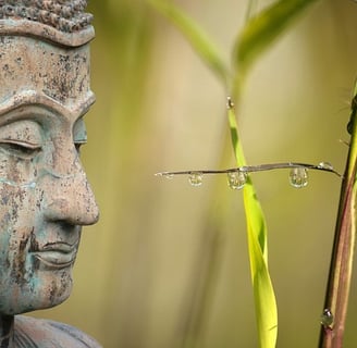 relations apaisées-trouver ressources et force de vie-surmonter problèmes et deuil et séparation