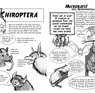 2 page spread from "Bats! Volume 1"