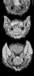 Vampire Bat sicker with text "Actual Vampires"