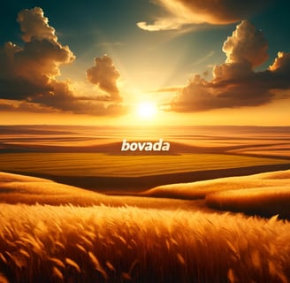 Serene Kansas plains at golden hour symbolize Bovada's diverse betting opportunities.