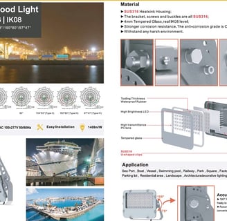 FL-06-G6 LED flood light 316 stainless steel 